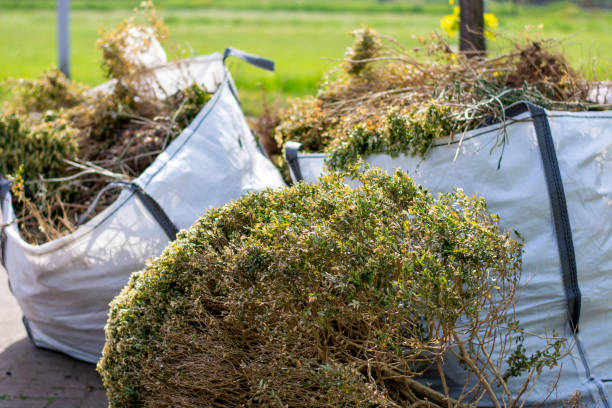 Basement Cleanout Services in Chase, PA